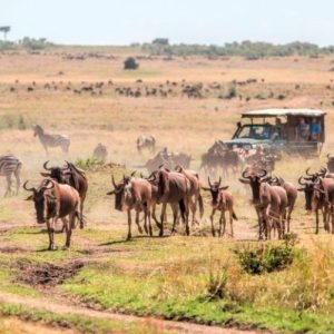 3 Days / 2 nights – Mara Flying Safari