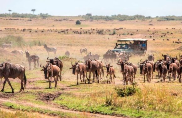 3 Days / 2 nights – Mara Flying Safari