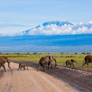 3 Days /2nights Amboseli National Park