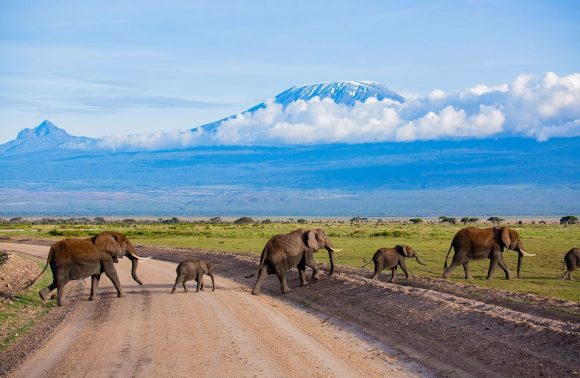 3 Days /2nights Amboseli National Park