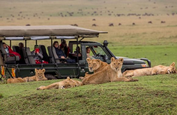 Masai Mara Safari: 2 Nights/3 Days