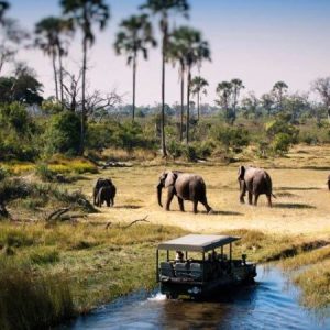 15 Days Kenya – Tanzania Tour Combined