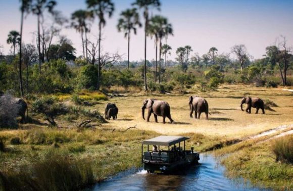 15 Days Kenya – Tanzania Tour Combined